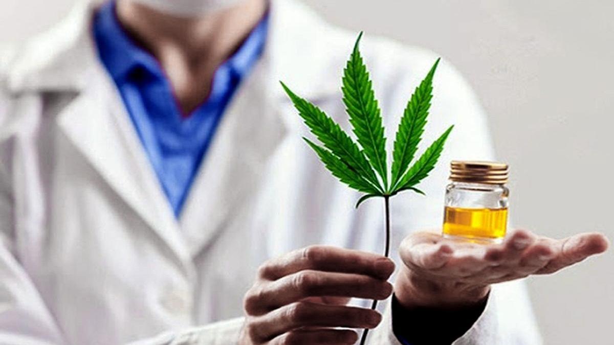 Curso de cannabis medicinal